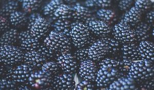 Preview wallpaper blackberries, berries, ripe, blur
