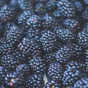 Preview wallpaper blackberries, berries, ripe, blur