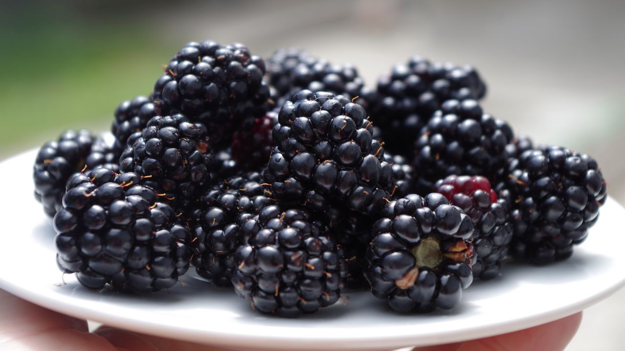 Wallpaper blackberries, dish, ripe, berries