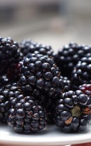 Preview wallpaper blackberries, dish, ripe, berries