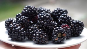 Preview wallpaper blackberries, dish, ripe, berries
