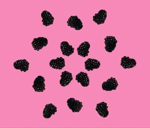 Preview wallpaper blackberry, berries, black, pink, minimalism