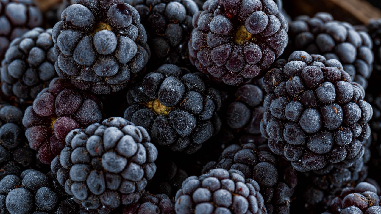 Wallpaper blackberry, berry, fruit, macro