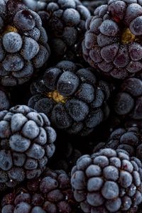 Preview wallpaper blackberry, berry, fruit, macro