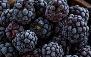 Preview wallpaper blackberry, berry, fruit, macro