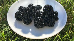 Preview wallpaper blackberry, berry, plate, grass