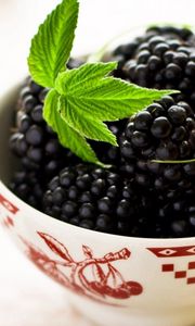 Preview wallpaper blackberry, leaves, bowl