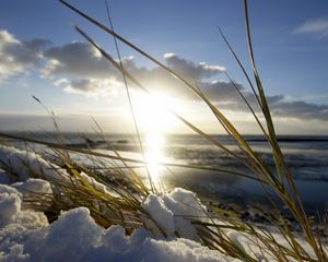 Preview wallpaper blade, light, snow, sun, spring