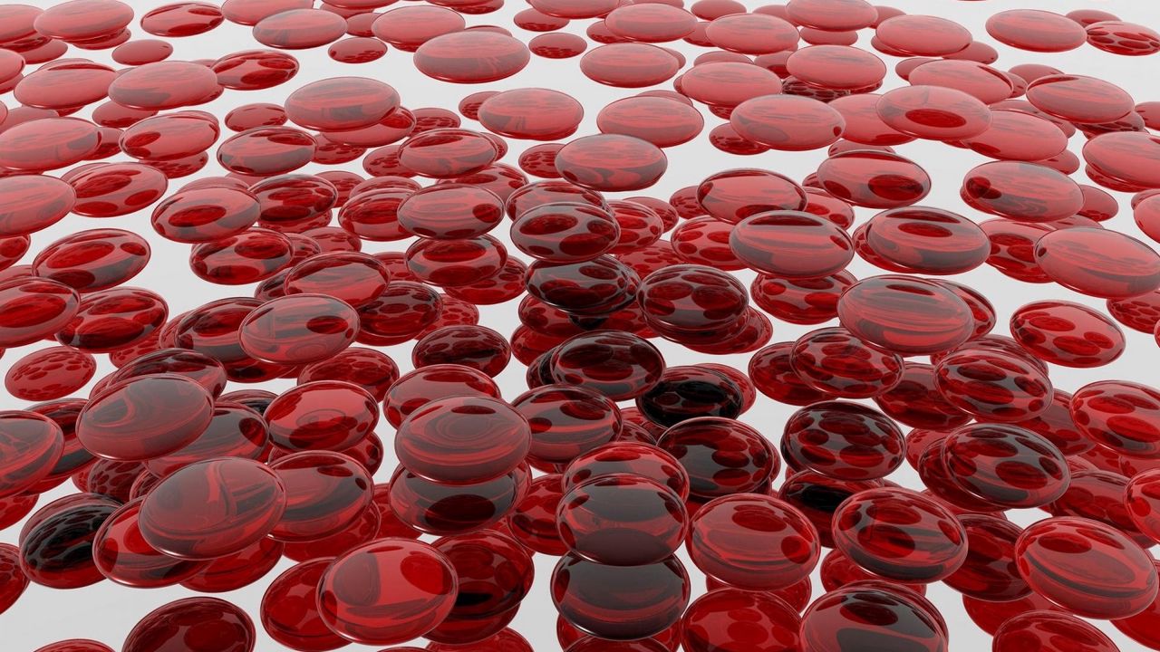 Wallpaper blood, cells, form, surface