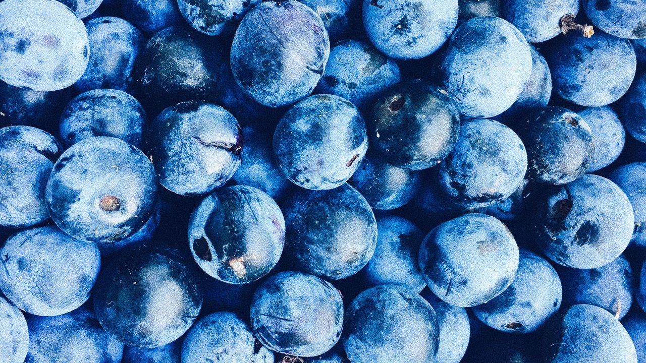 Wallpaper blueberries, berries, blue, ripe