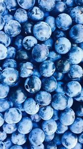 Preview wallpaper blueberries, berries, blue, ripe