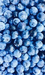 Preview wallpaper blueberries, berries, blue, ripe