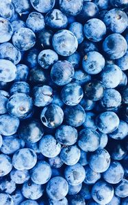 Preview wallpaper blueberries, berries, blue, ripe