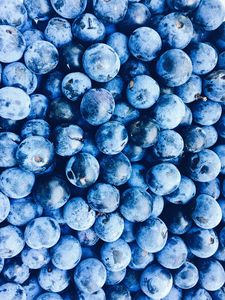 Preview wallpaper blueberries, berries, blue, ripe