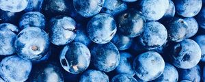 Preview wallpaper blueberries, berries, blue, ripe