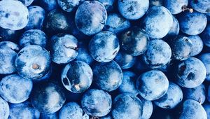 Preview wallpaper blueberries, berries, blue, ripe