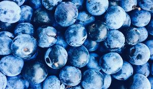 Preview wallpaper blueberries, berries, blue, ripe