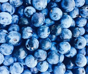 Preview wallpaper blueberries, berries, blue, ripe