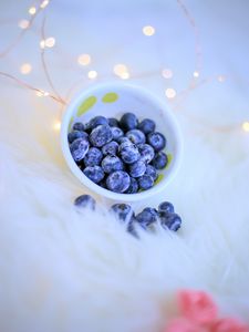 Preview wallpaper blueberries, berries, blue, bowl, garland