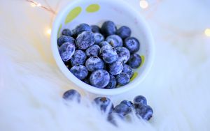 Preview wallpaper blueberries, berries, blue, bowl, garland