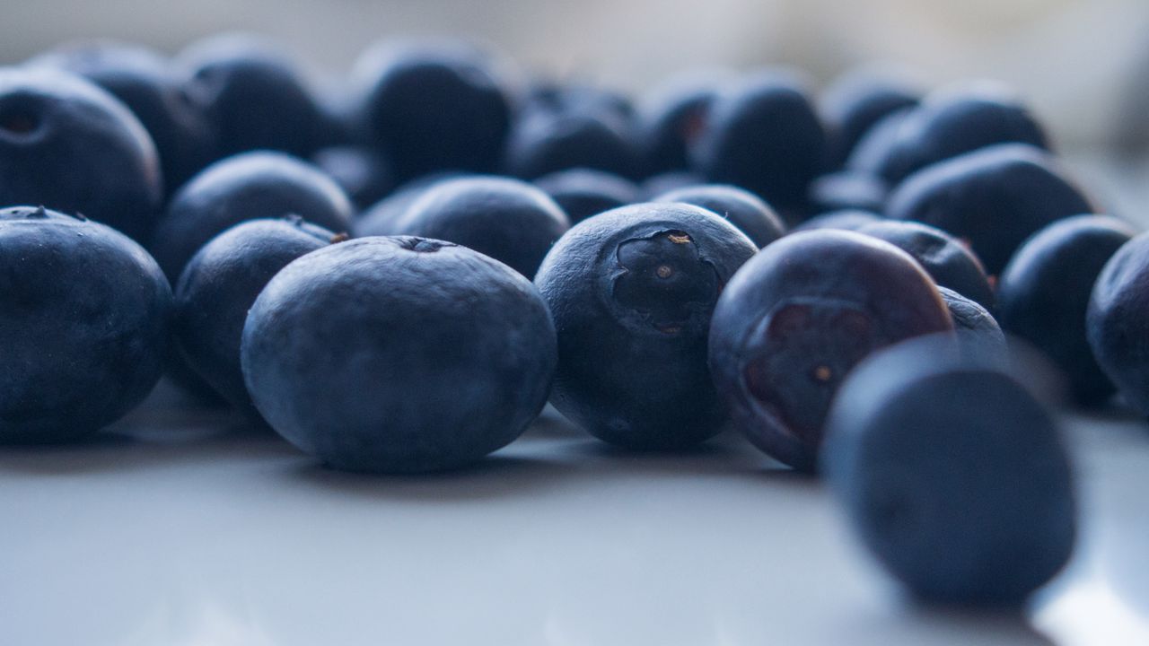 Wallpaper blueberries, berries, blue, macro