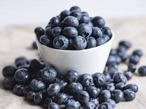 Preview wallpaper blueberries, berries, bowl, macro