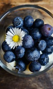 Preview wallpaper blueberries, berries, chamomile