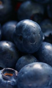 Preview wallpaper blueberries, berries, close-up