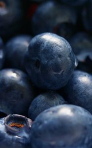 Preview wallpaper blueberries, berries, close-up