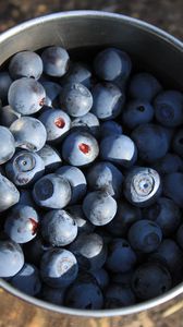 Preview wallpaper blueberries, berries, cup