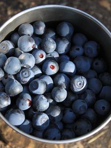 Preview wallpaper blueberries, berries, cup