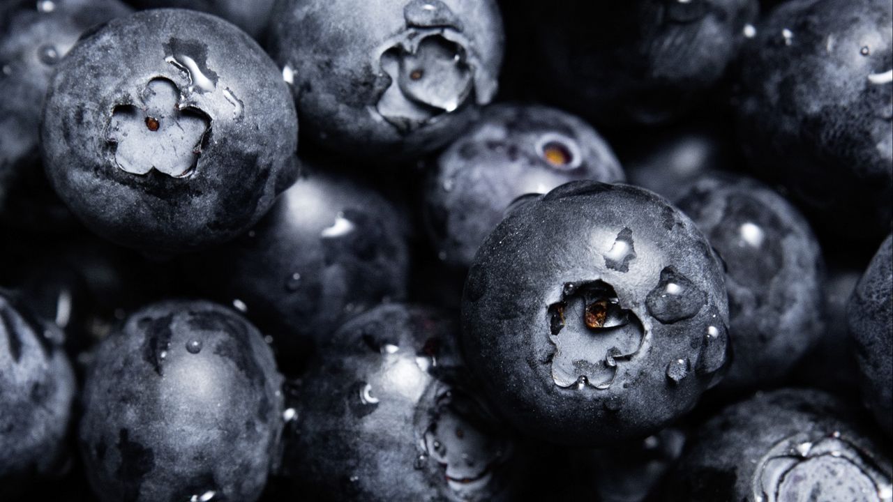 Wallpaper blueberries, berries, drops