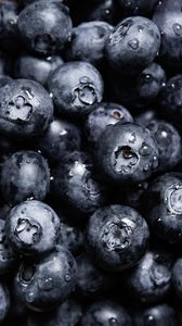Preview wallpaper blueberries, berries, drops