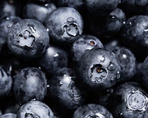 Preview wallpaper blueberries, berries, drops