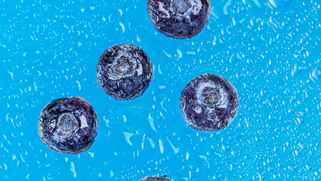 Wallpaper blueberries, berries, drops, wet, macro, blue