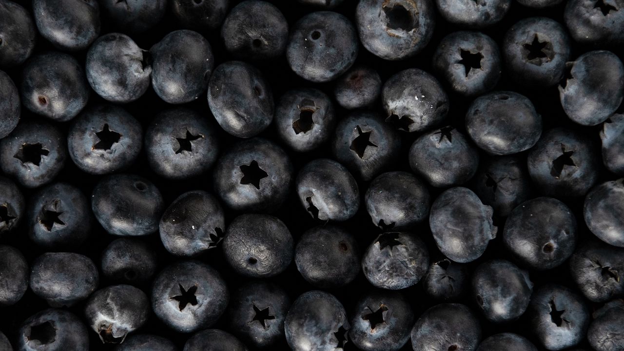 Wallpaper blueberries, berries, fresh, macro