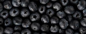 Preview wallpaper blueberries, berries, fresh, macro