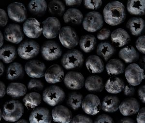 Preview wallpaper blueberries, berries, fresh, macro