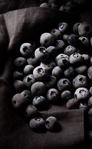 Preview wallpaper blueberries, berries, frost, cold