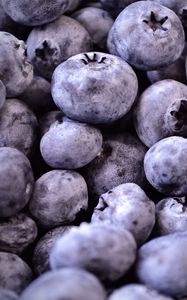 Preview wallpaper blueberries, berries, fruit, macro