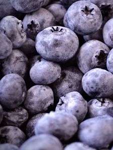 Preview wallpaper blueberries, berries, fruit, macro