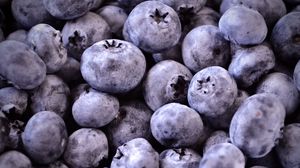 Preview wallpaper blueberries, berries, fruit, macro