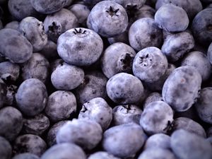 Preview wallpaper blueberries, berries, fruit, macro
