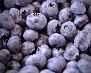 Preview wallpaper blueberries, berries, fruit, macro