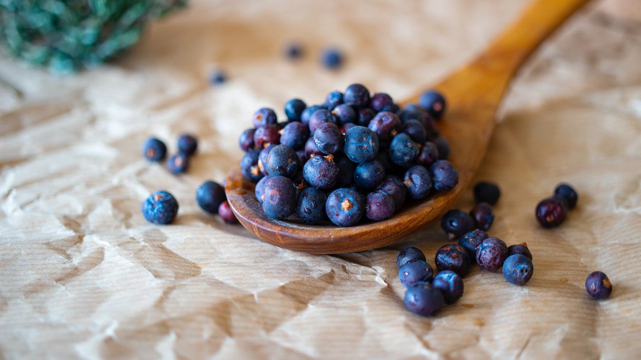Wallpaper blueberries, berries, fruits, spoon, paper