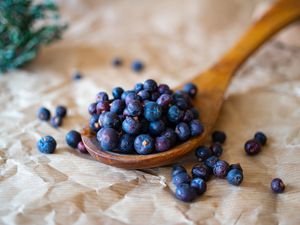 Preview wallpaper blueberries, berries, fruits, spoon, paper