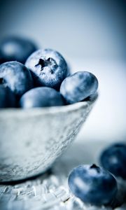 Preview wallpaper blueberries, berries, fruits, bowl