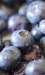 Preview wallpaper blueberries, berries, fruits, drops, macro