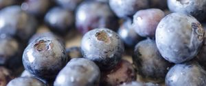 Preview wallpaper blueberries, berries, fruits, drops, macro