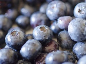 Preview wallpaper blueberries, berries, fruits, drops, macro
